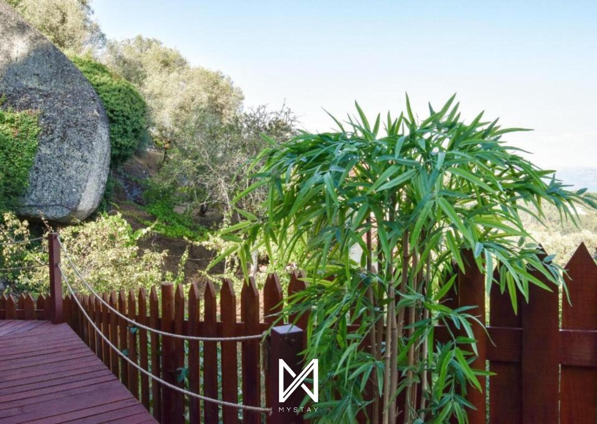 Mystay - Casa Das Oliveirinhas Bungalow By Refugio Ao Luar Celorico De Basto Εξωτερικό φωτογραφία